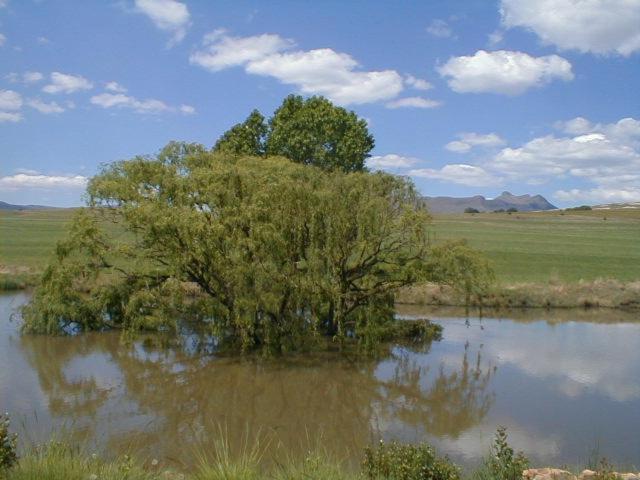 Royal Coachman Villa Clarens Exterior photo